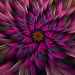 Фотография Sirena