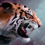 Фотография DarkTiger