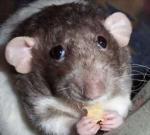 Фотография Gleb99