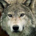 Фотография Matery