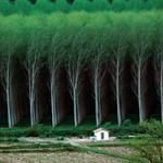 Фотография tom22