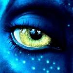 Фотография DavidFuji